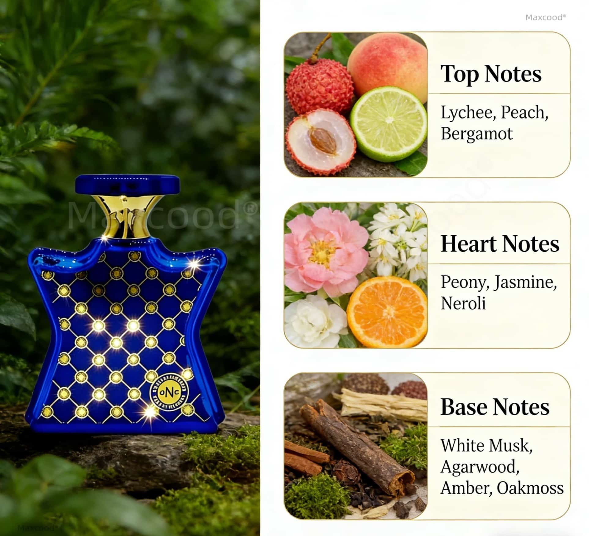 Citrus- en bloemige parfums La - Perfume Fragrance For Girls recensie en prijs